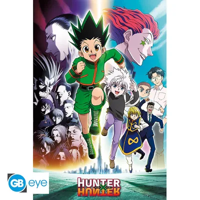 Póster Hunter x Hunter Tropa Fantasma 91,5x61 cm