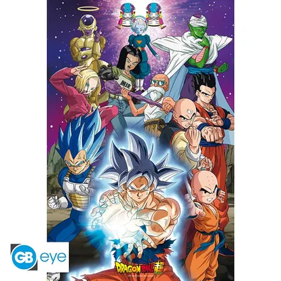 Póster Dragon Ball Super Universo 7 91,5x61 cm