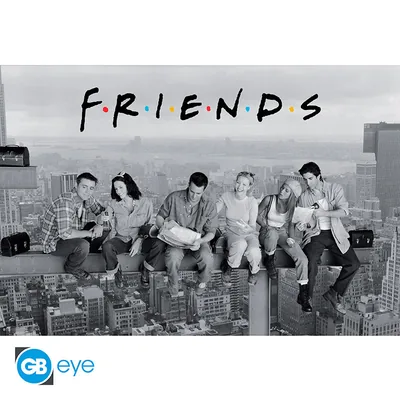 Póster Maxi Friends Friends 91,5x61 cm