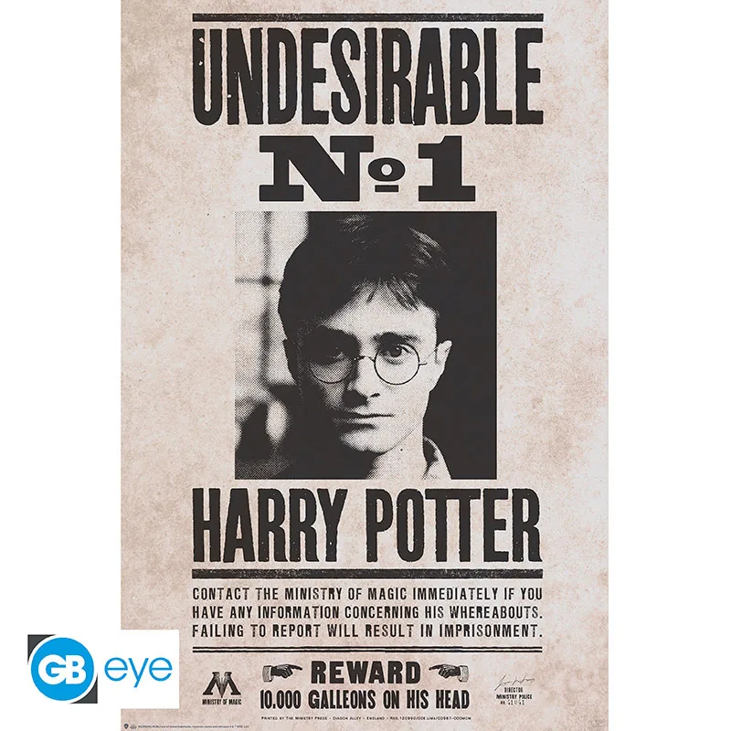 Póster Maxi Harry Potter Indeseable nº 1 91,5x61 cm