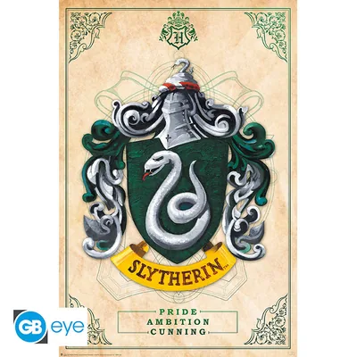 Póster Harry Potter Slytherin 91,5x61 cm