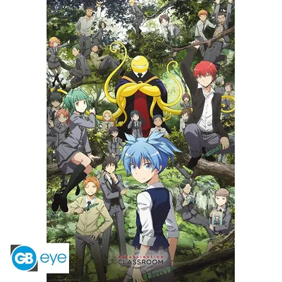 Póster Maxi Assassination Classroom Forest Group 91,5x61 cm