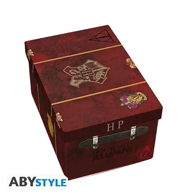 Pack premium taza 3D, llavero 3D y pin Harry Potter Baúl de Hogwarts