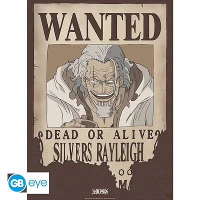 Póster Chibi One Piece Wanted Rayleigh 52x38 cm