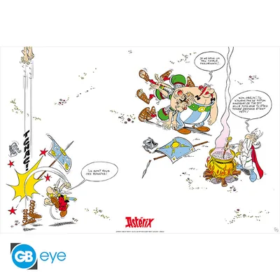 Póster Astérix Flyleaf 91,5x61 cm