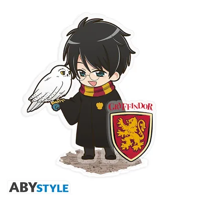 Acryl® Harry Potter Harry y Hedwig