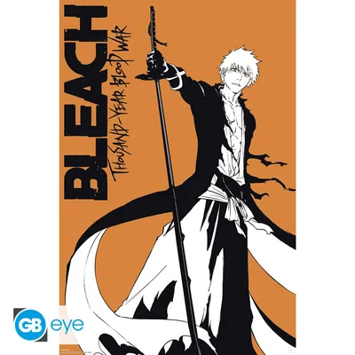 Póster Bleach TYBW Ichigo 91,5x61 cm