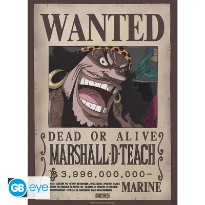 Póster Chibi One Piece Wanted Barbanegra Wano 52x38 cm