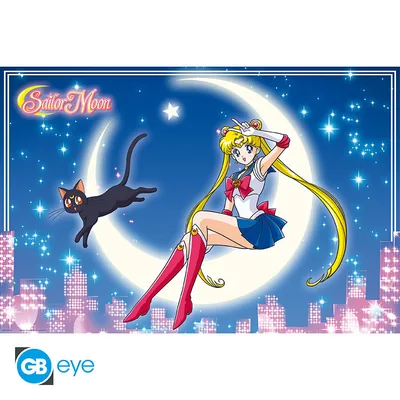 Póster Maxi Sailor Moon y Luna 91,5x61 cm