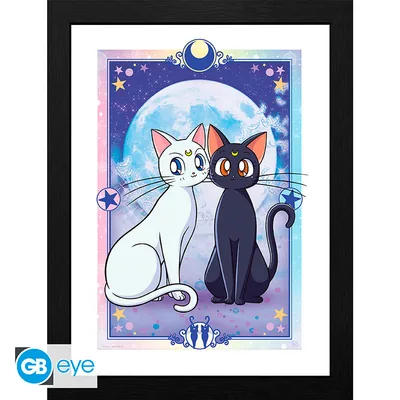 Lámina enmarcada Sailor Moon Luna y Artemis 30x40 cm