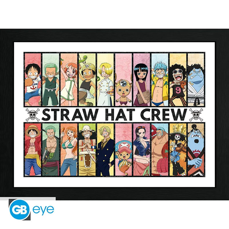 Lámina enmarcada One Piece Pasado y presente 30x40 cm