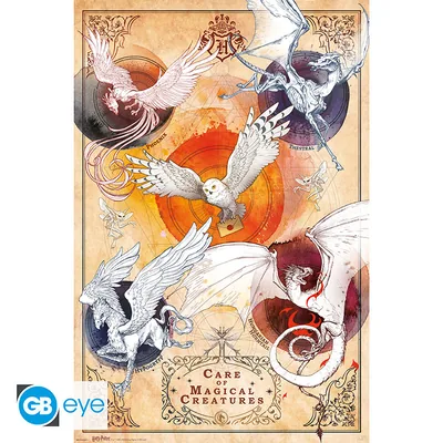Póster Maxi Harry Potter Criaturas mágicas 91,5x61 cm