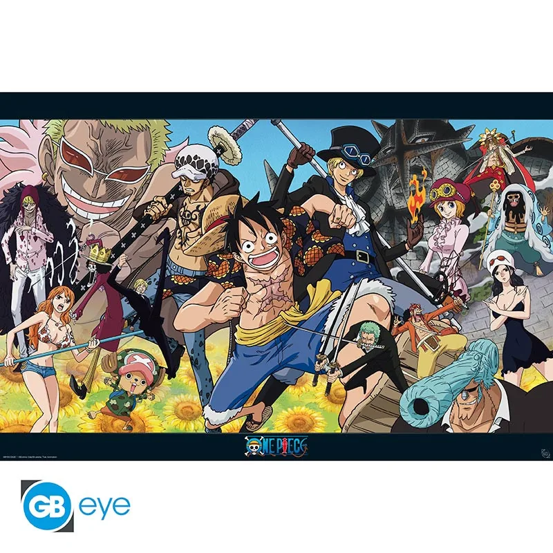 Póster One Piece Dressrosa 91,5x61 cm