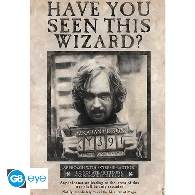 Póster Harry Potter Wanted Sirius Black 91,5x61 cm