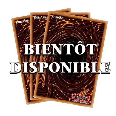 Yu-Gi-Oh! JCC Sobres Valiant Smashers (FR) Blíster