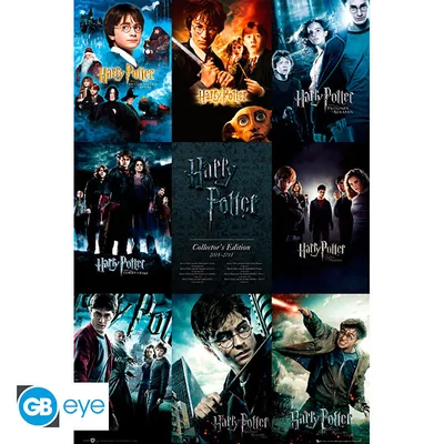 Póster Harry Potter Collection 91,5x61 cm