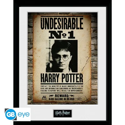 Lámina enmarcada Harry Potter Indeseable nº 1 30x40 cm