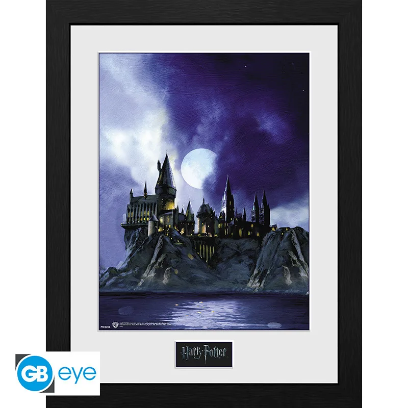 Lámina enmarcada Harry Potter Hogwarts Painted 30x40 cm