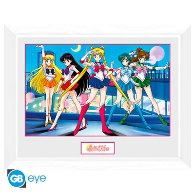 Lámina enmarcada Sailor Moon Grupo 30x40 cm marco blanco