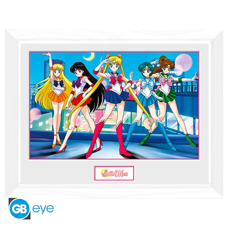 Lámina enmarcada Sailor Moon Grupo 30x40 cm marco blanco