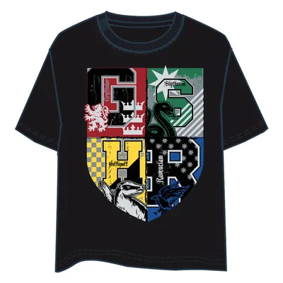 Camiseta Hogwarts Harry Potter adulto