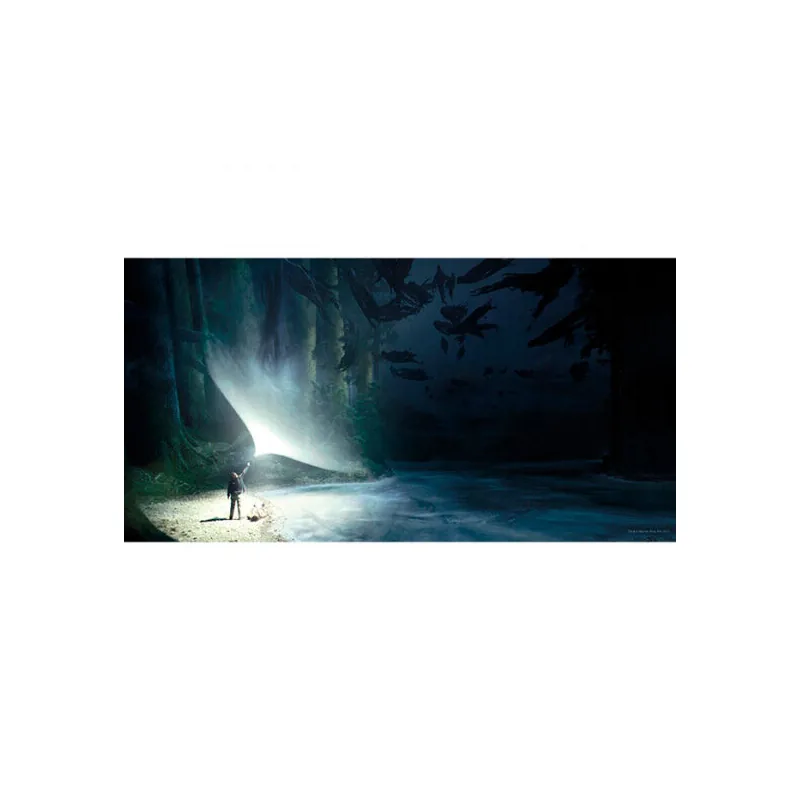 Poster cristal Expecto Patronum Harry Potter