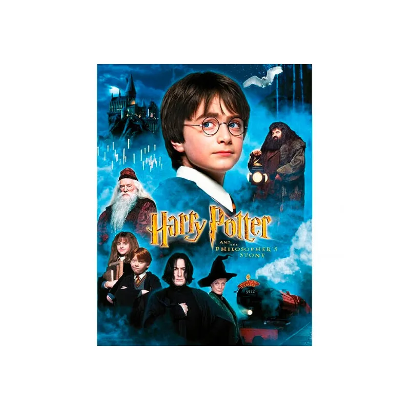 Poster cristal Harry Potter y la Piedra Filosofal Harry Potter