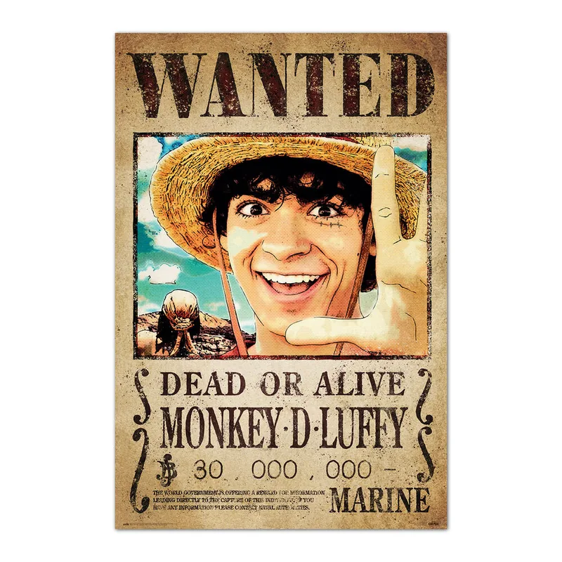 Poster Se Busca Monkey D. Luffy One Piece